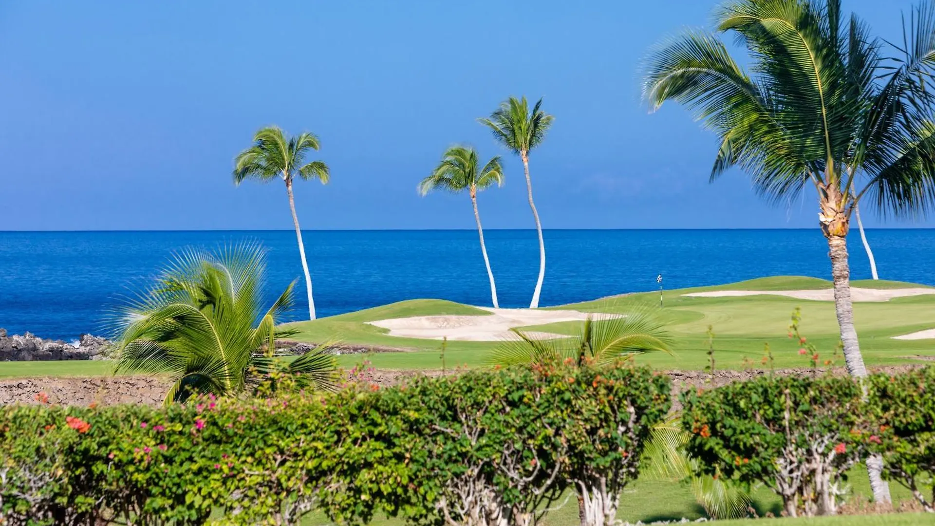 Coral Reef Lush 4Br Kamilo Home With Heated Pool And Guest Cottage Ваиколоа-Виллидж США